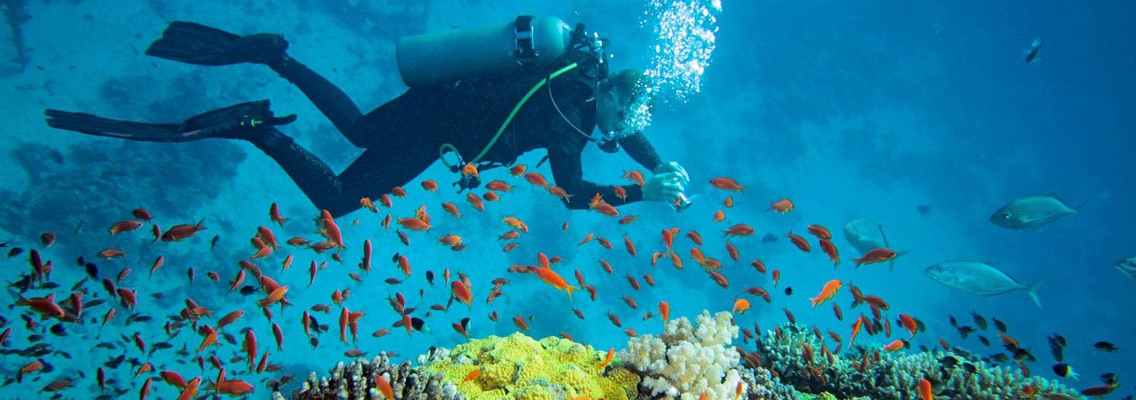 Scuba Diving
